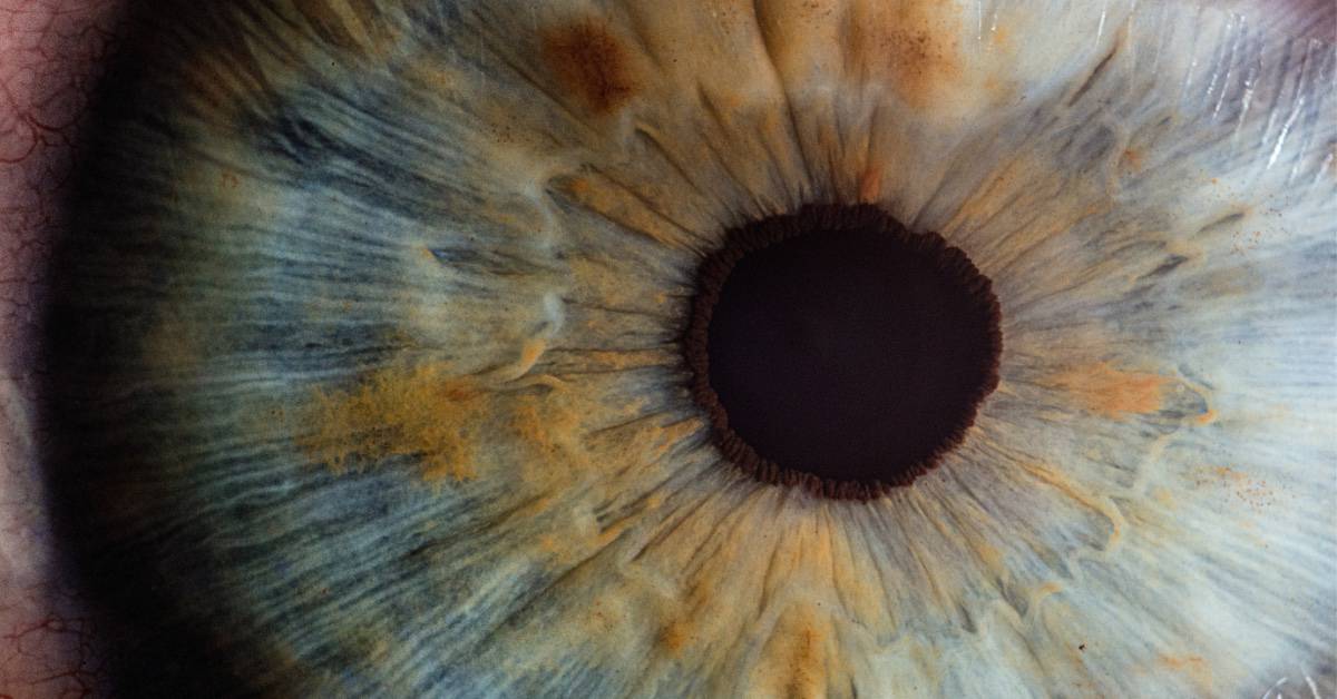 Neuroathletik Training Augen - Testung visuelles System